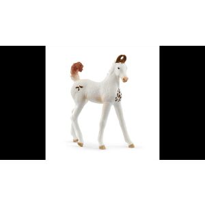Schleich Horse Club Marwari Fohlen Figur, weiß mit braunen Flecken, stehend auf weißem Hintergrund - Schleich Heldenfiguren