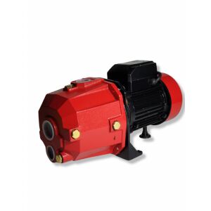 Pompa de hidrofor Elefant DP255, 1150 W, 80l/min 137353226 - Irigare