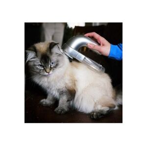 Macvi® vezeték nélküli porszívó háziállatoknak, akkumulátoros, szürke