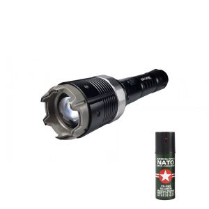 Metalowy zestaw do elektrowstrząsów z latarką i regulacją ostrości 8810 oraz sprayem Natto, DEPOX®, 19 cm 129647606 - Lampy i oświetlenie