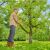 Gardena EasyCut L ágvágó olló 166146376