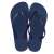 Két pár Ipanema Anatomic Colors női papucs kék színben, elülnézet