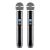 SAL MVN610 professional wireless microphone handheld set, two microphones with digital display and power button