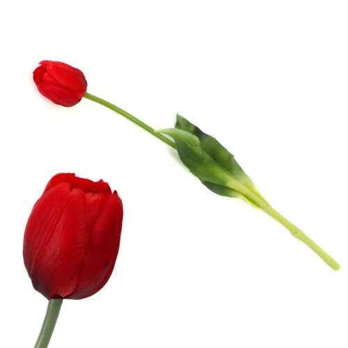 Szilikon gumi tulipán SZÁLAS _az ár 1 db ra vonatkozik-PIROS 