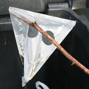 Balenie pascí na slimáky – zberné vrecká, 10 ks 135860999 - Prípravky proti škodcom