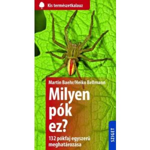Milyen pók ez? - 132 pók egyszerű meghatározása 130191053 - Természettudomány
