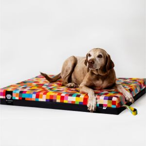 Kutya pihen az NRDOGS Prémium Soft Magic Color fekhelyen - Kutyafekhely