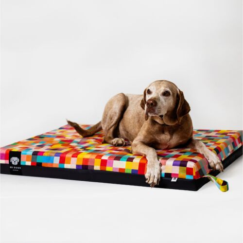 Prémium Kutyafekhely Soft Magic Color