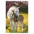 Lovas Spring Foal A/4 gumis mappa 130191268