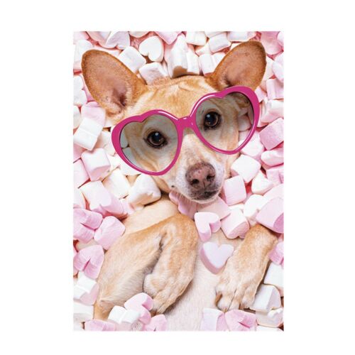 Kutyás Marshmallow A/4 gumis mappa 130191690