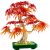 LEGO® Botanische Kollektion Japanischer Roter Ahorn Bonsai 10348 130206393