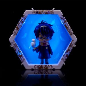 Megvilágított Wow! Pods Harry Potter és Hedwig gyűjthető figura - Wow! Stuff