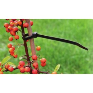 Rögzítő műanyag D30 cm 25 db / csomag (Nature) 130673528 - Nature