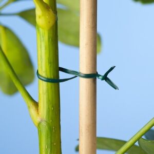 Kötöződrót vágószerkezettel 50m (Nature) 130678253 - Nature