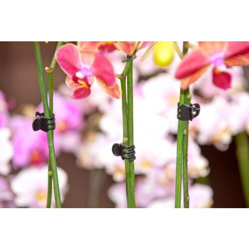 Orchidea rögzítő csipesz 10db-os szett (Nature) 130683663