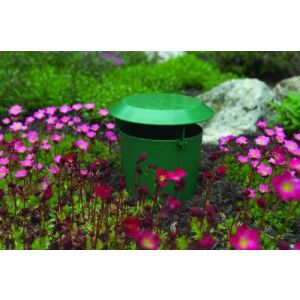 Csigacsapda (Nature) 130684462 - Nature