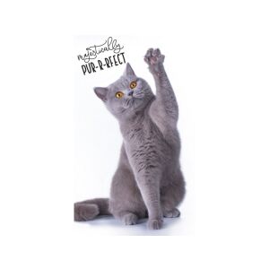 Baba törölköző 30/50cm CAT, TNL191342