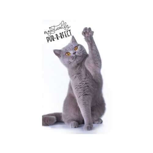 Prosop de mâini cu tematică pisică, Baba törölköző 30/50cm CAT