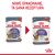 ROYAL CANIN FCN Appetite Control w sosie - mokra karma dla kota dorosłego - 12x85g 130913510