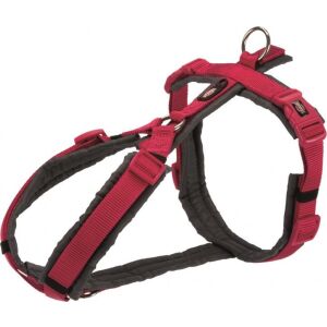 Ham Trixie Trekking S-M 44-53 cm/20 mm fuchsia/gri grafit pentru caini 1997111 130919731 - Îngrijirea rozătoarelor