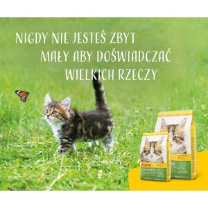 Josera Kitten Getreidefrei 10 kg 130937706 - Viehzucht