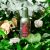 Tesori d'Oriente Forest Ritual Eau de Toilette, Unisex, 100 ml 130956391