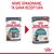ROYAL CANIN FCN Hairball Care w sosie - mokra karma dla kota dorosłego - 12x85g 130965381