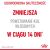 ROYAL CANIN FCN Hairball Care w sosie - mokra karma dla kota dorosłego - 12x85g 130965381