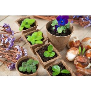 Tőzeg cserepek 15 db, 8 cm-es (Nature) 130969911 - Nature