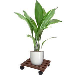 Stojak na rośliny na kółkach ProGarden z rośliną, brązowe drewno i czarny plastik, 29x29 cm - ProGarden
