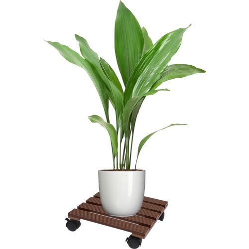 Pojazdný stojan na rastliny ProGarden s rastlinou, hnedé drevo a čierny plast, 29x29 cm