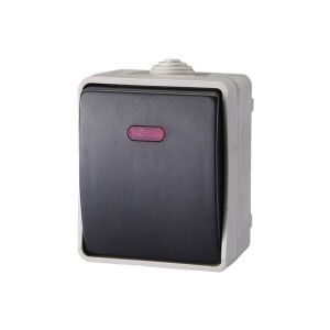 AQUATOP 9876H falon kívüli váltókapcsoló, 1 billenő, 10 A, IP54, szürke, jelzőfénnyel