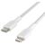 USB auf Lightning Verbindungskabel Belkin CAA004BT1MWH 1 m 131130162
