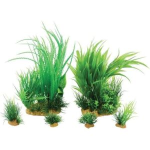 Plantă decorativă Zolux Jalaya 6 Piese 131135405 - Decorațiuni