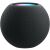Apple HomePod mini Grau Smart Speaker