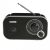 Denver TR-51BLACK AM/FM Radio - Schwarz