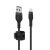 USB auf Lightning Verbindungskabel Belkin CAA010BT1MBK Schwarz 1 m 140802018