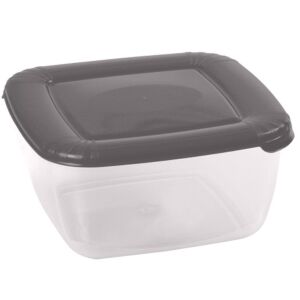 Recipient pentru alimente Domotti Albert 0.46L cu capac gri - Caserole