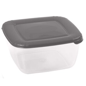 Recipient pentru alimente Domotti Albert 0.95L cu capac gri - Caserole