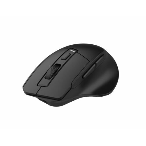 C-TECH Ergo WLM-05 Maus, kabellos, 1600 DPI, 6 Tasten, USB-Nano-Empfänger, schwarz 139343118