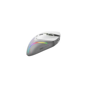Glorious Model D 2 Wireless Gaming-Maus - weiĂ 131813261 - Glorious