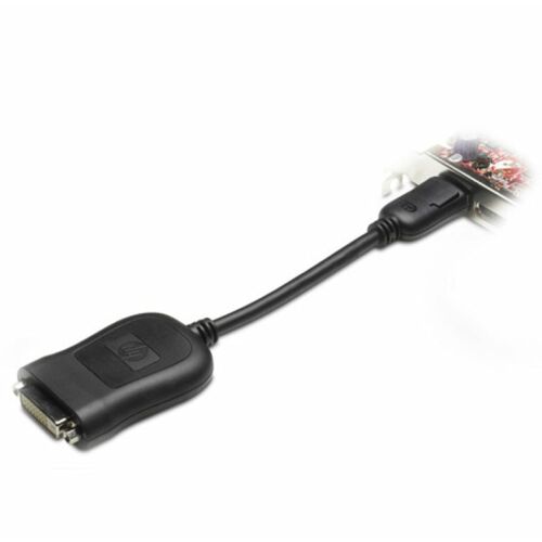 HP 484156-001 adaptér na video kábel DVI-D DisplayPort Čierna