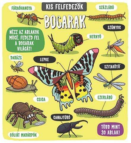 Kis felfedezők - Bogarak
