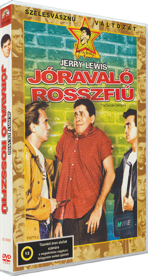 Jóravaló rosszfiú (DVD)