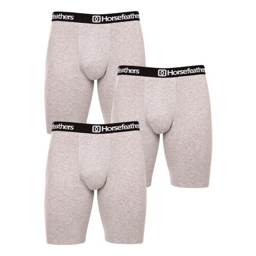 3PACK Férfi boxeralsó Horsefeathers Dynasty long (AM195C) M 132400258