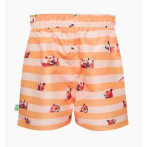 Vidám fiú fürdőruha Dedoles Hamster és övek (D-K-BW-SSH-C-RP-1669) 1-2 éves