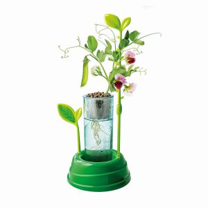 Oktatójáték-készlet, Clementoni, My Garden, hidroponikus technika, 15,2x6x21,40 cm