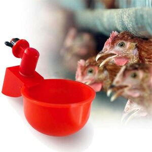 Baromfiitató szett 132574528 - Sertés