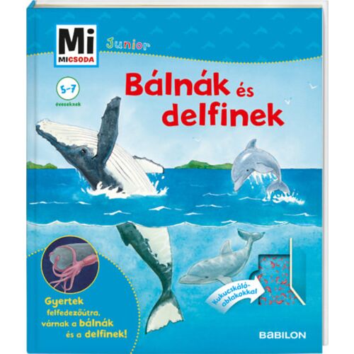 Mi MICSODA Junior 25: Bálnák és delfinek gyermekkönyv borítója - Gyermek könyv