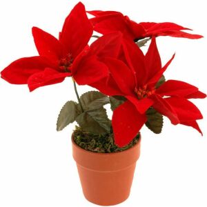 Home Styling Collection Mesterséges Betlehemi Csillag (itt lehetséges, hogy a készlet 35 darabból áll :( :( :( 132638067 - Karácsony